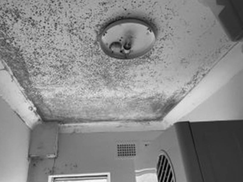 Keep Indoor Air Top Quality as well as Pollution in consult this easy&nbsp;task